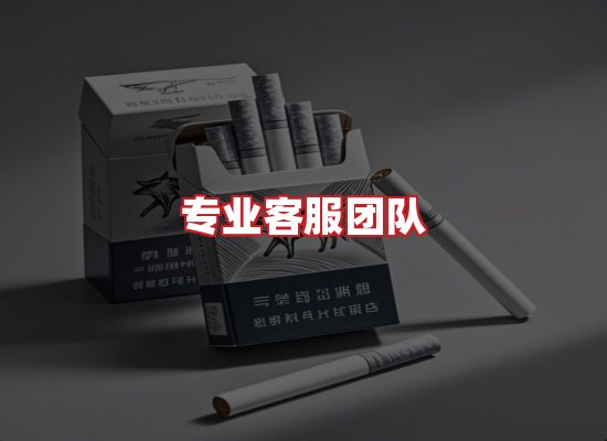 专业团队